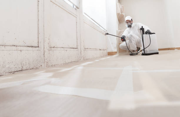 24/7 Emergency Mold Removal experts in Coal Township, PA