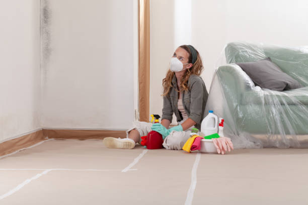 Reliable Mold Removal contractor in Coal Township, PA by WQB Mold Removal